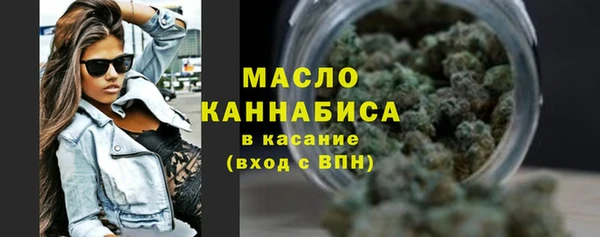 ECSTASY Богданович