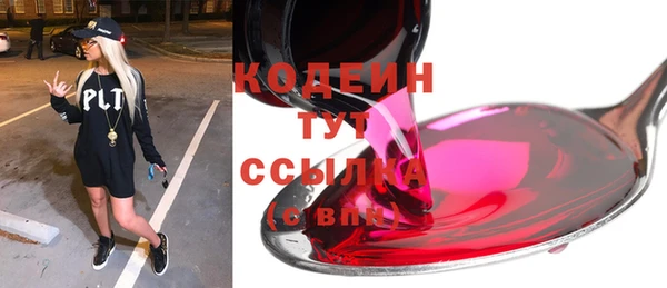 ECSTASY Богданович