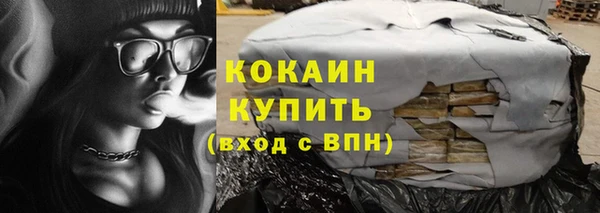 ECSTASY Богданович