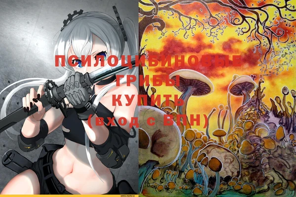 MDMA Premium VHQ Богородицк