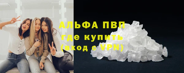 ECSTASY Богданович