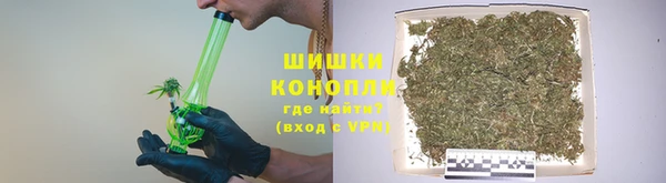 ECSTASY Богданович