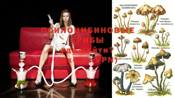 ECSTASY Богданович