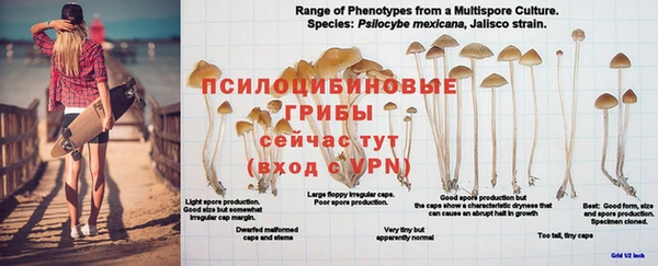 MDMA Premium VHQ Богородицк